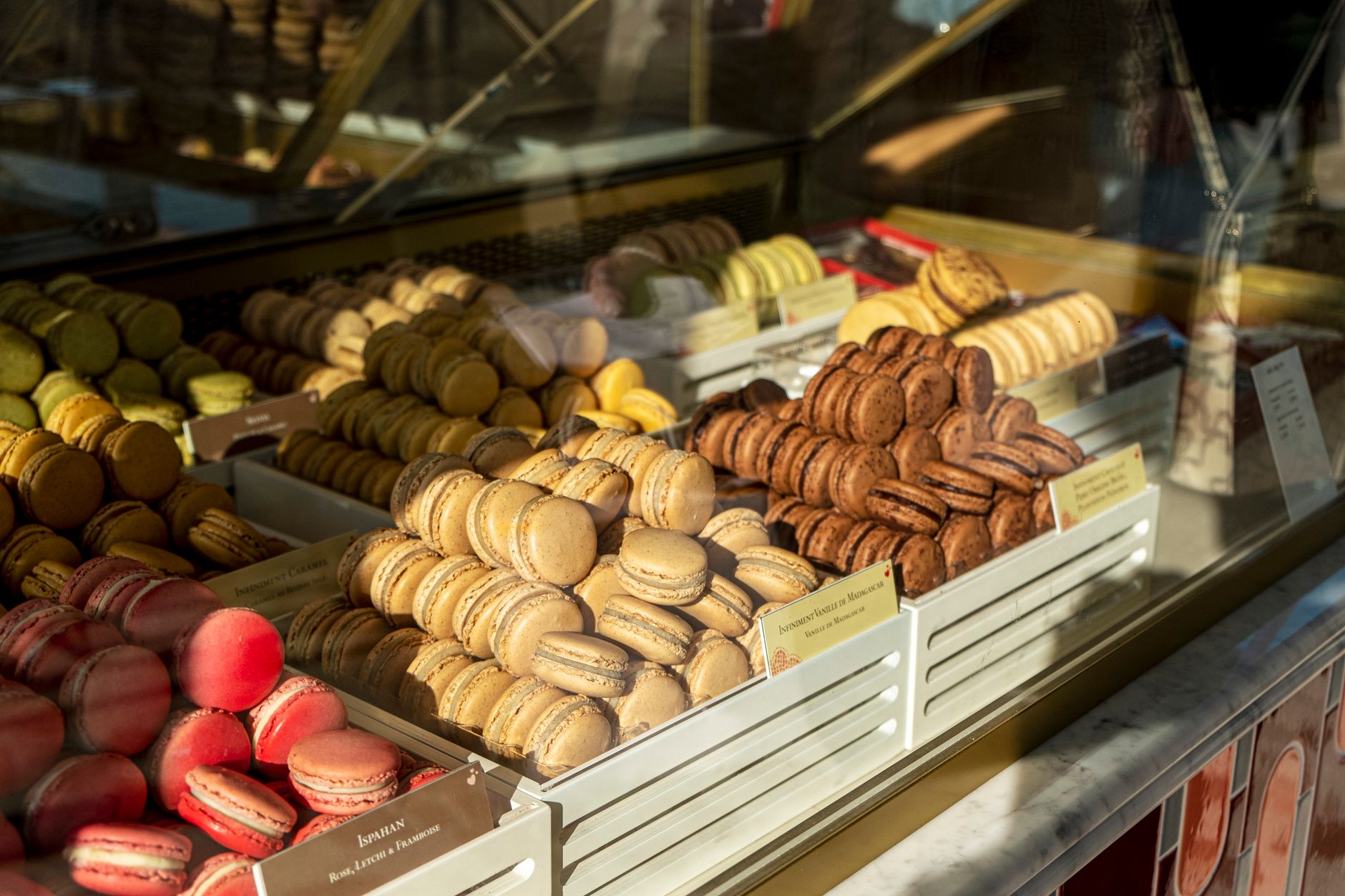 Signature Macarons