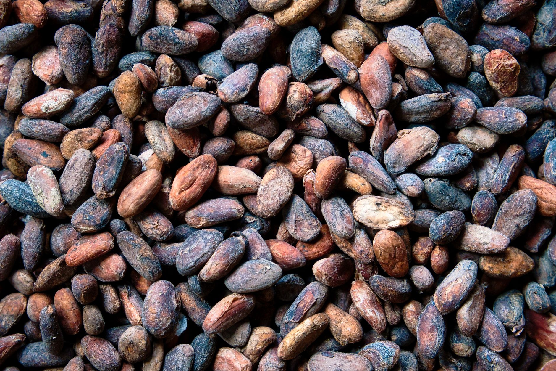 High-end Baking Ingredients